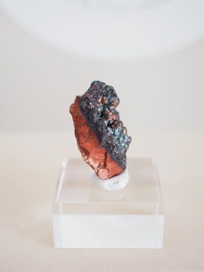 Bunt Irisierender Goethit . Iridescent Goetite Specimen [ 9 ] ca. 3.5 cm - aus Tharsis . Spanien