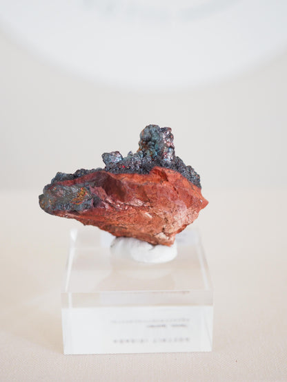 Bunt Irisierender Goethit . Iridescent Goetite Specimen [ 9 ] ca. 3.5 cm - aus Tharsis . Spanien