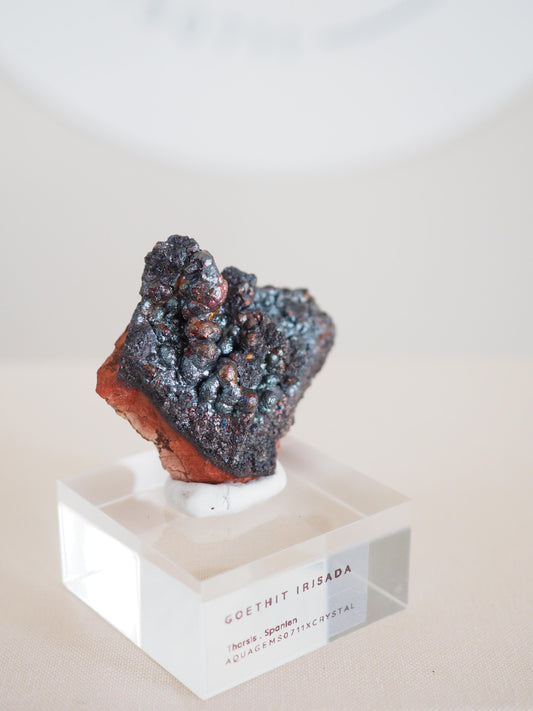 Bunt Irisierender Goethit . Iridescent Goetite Specimen [ 9 ] ca. 3.5 cm - aus Tharsis . Spanien