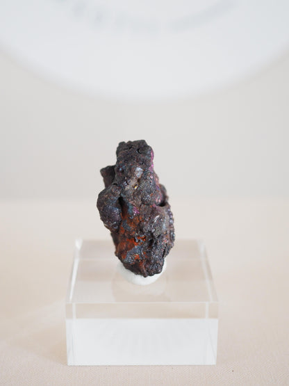 Bunt Irisierender Goethit . Iridescent Goetite Specimen [ 10 ] ca. 4 cm - aus Tharsis . Spanien