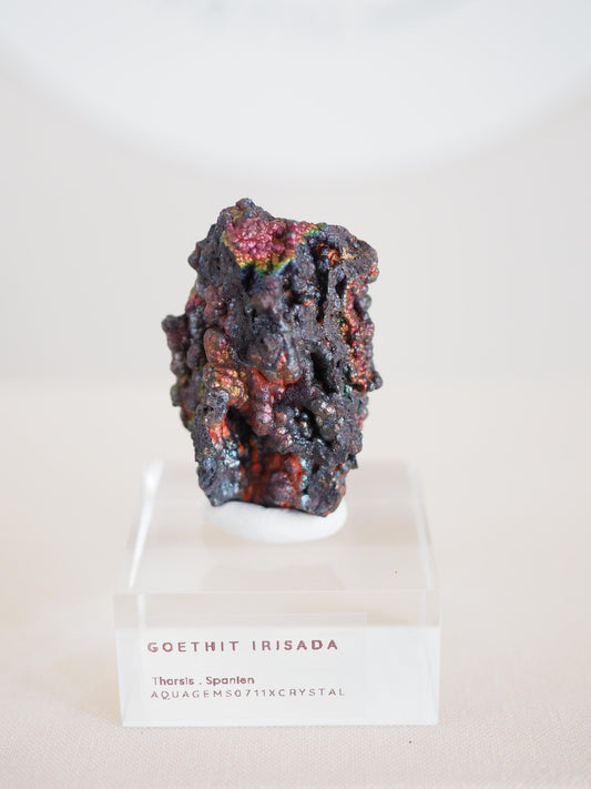 Bunt Irisierender Goethit . Iridescent Goetite Specimen [ 11 ] ca. 4.5 cm - aus Tharsis . Spanien