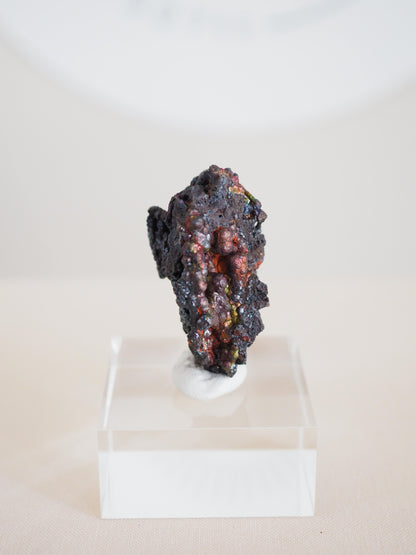 Bunt Irisierender Goethit . Iridescent Goetite Specimen [ 11 ] ca. 4.5 cm - aus Tharsis . Spanien