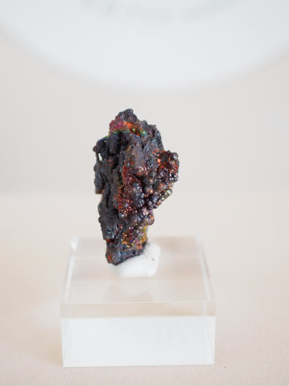 Bunt Irisierender Goethit . Iridescent Goetite Specimen [ 11 ] ca. 4.5 cm - aus Tharsis . Spanien