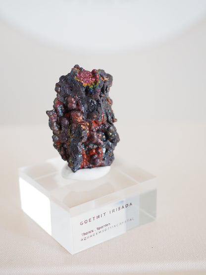 Bunt Irisierender Goethit . Iridescent Goetite Specimen [ 11 ] ca. 4.5 cm - aus Tharsis . Spanien