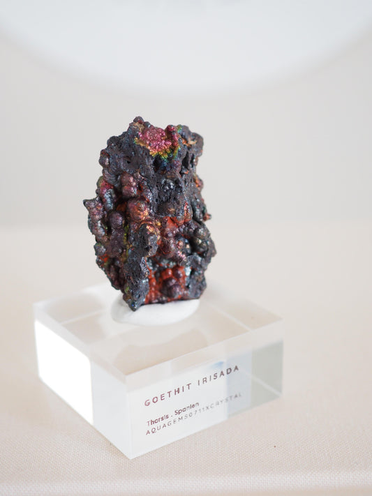 Bunt Irisierender Goethit . Iridescent Goetite Specimen [ 11 ] ca. 4.5 cm - aus Tharsis . Spanien