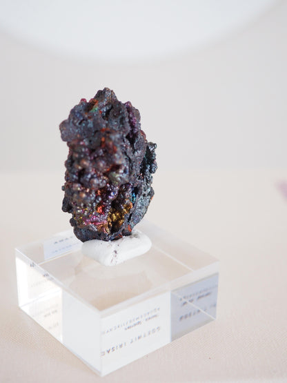 Bunt Irisierender Goethit . Iridescent Goetite Specimen [ 11 ] ca. 4.5 cm - aus Tharsis . Spanien