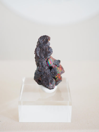 Bunt Irisierender Goethit . Iridescent Goetite Specimen [ 12 ] ca. 4.8 cm - aus Tharsis . Spanien