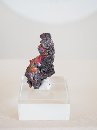 Bunt Irisierender Goethit . Iridescent Goetite Specimen [ 12 ] ca. 4.8 cm - aus Tharsis . Spanien