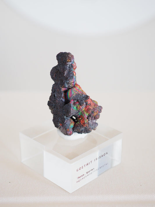 Bunt Irisierender Goethit . Iridescent Goetite Specimen [ 12 ] ca. 4.8 cm - aus Tharsis . Spanien