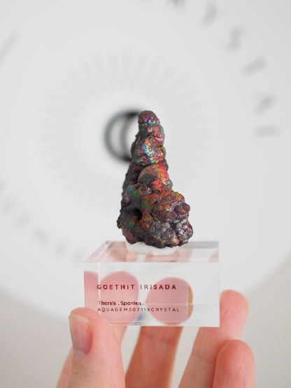 Bunt Irisierender Goethit . Iridescent Goetite Specimen [ 12 ] ca. 4.8 cm - aus Tharsis . Spanien