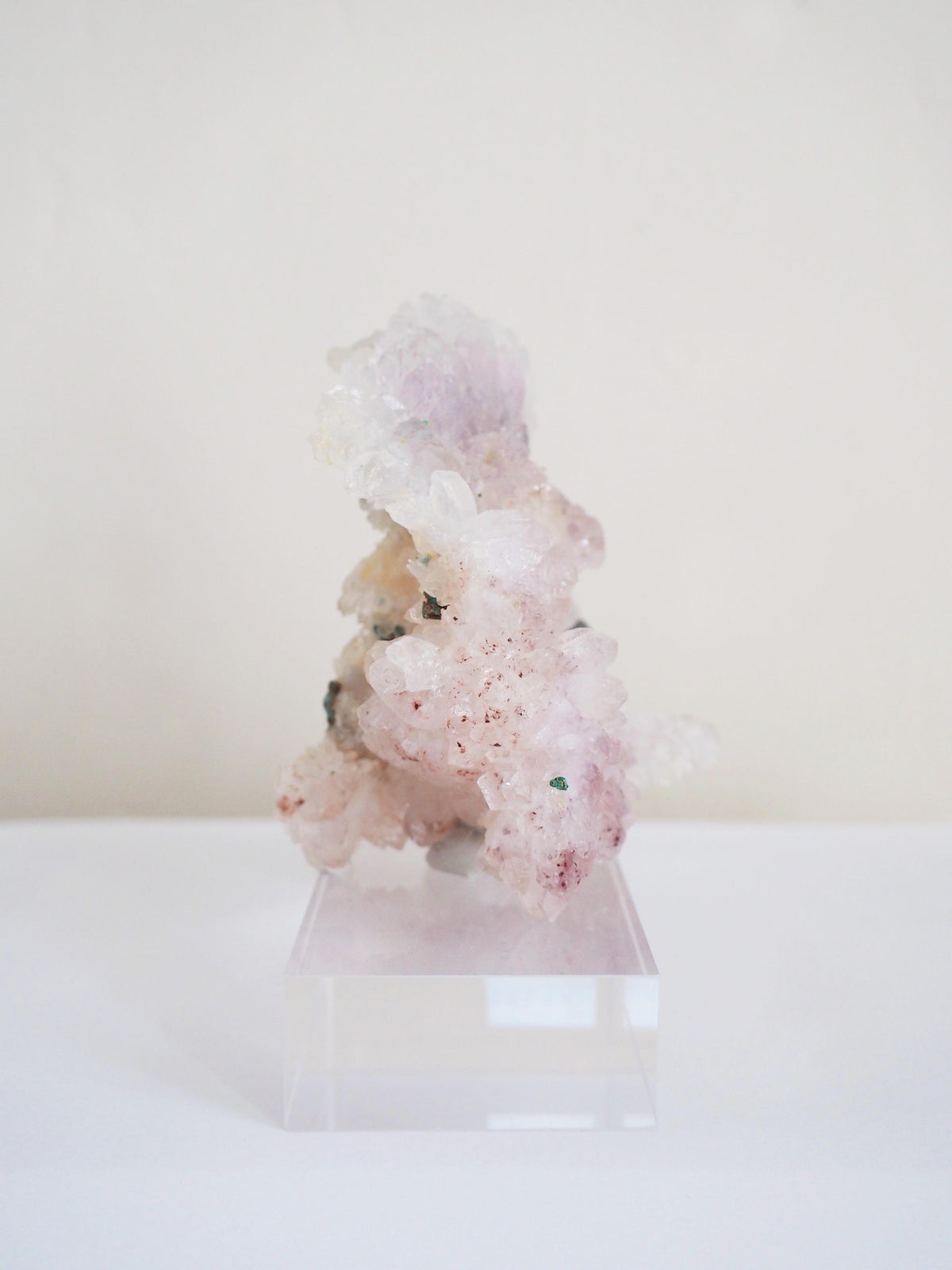 Amethyst Flower . Amethyst Blume Specimen - Rio Grande do Sul . Brasilien HIGH QUALITY