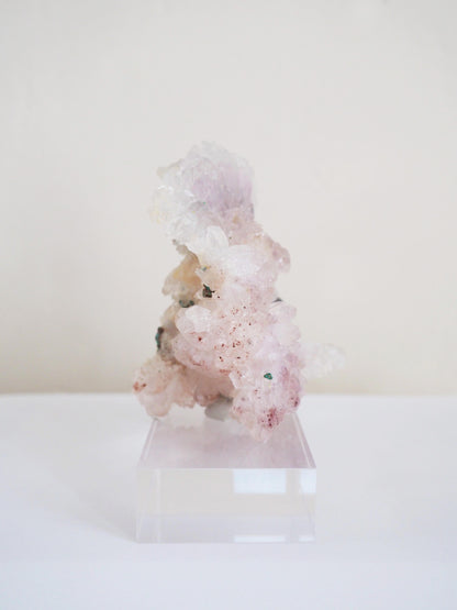 Amethyst Flower . Amethyst Blume Specimen - Rio Grande do Sul . Brasilien HIGH QUALITY