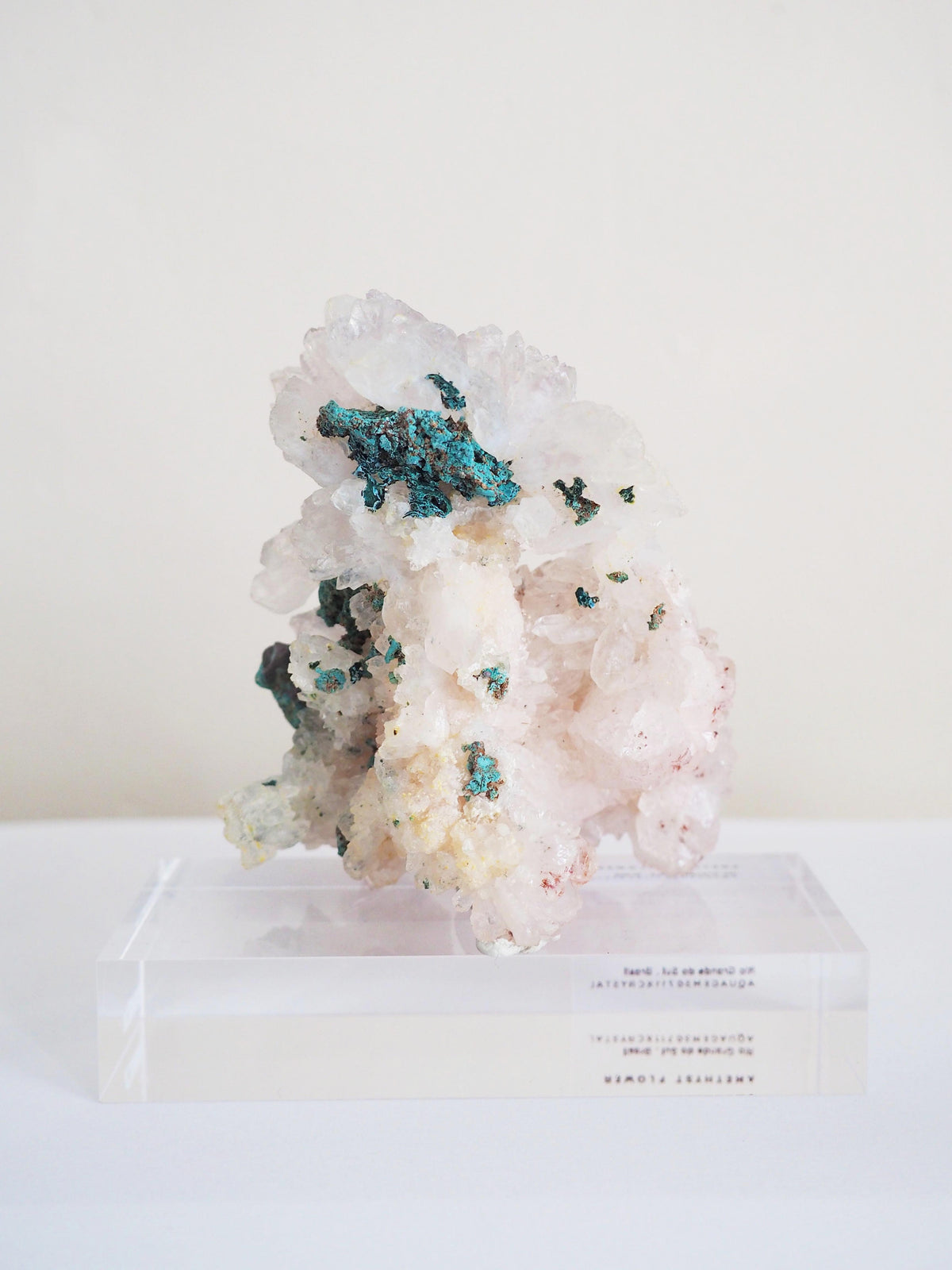 Amethyst Flower . Amethyst Blume Specimen - Rio Grande do Sul . Brasilien HIGH QUALITY