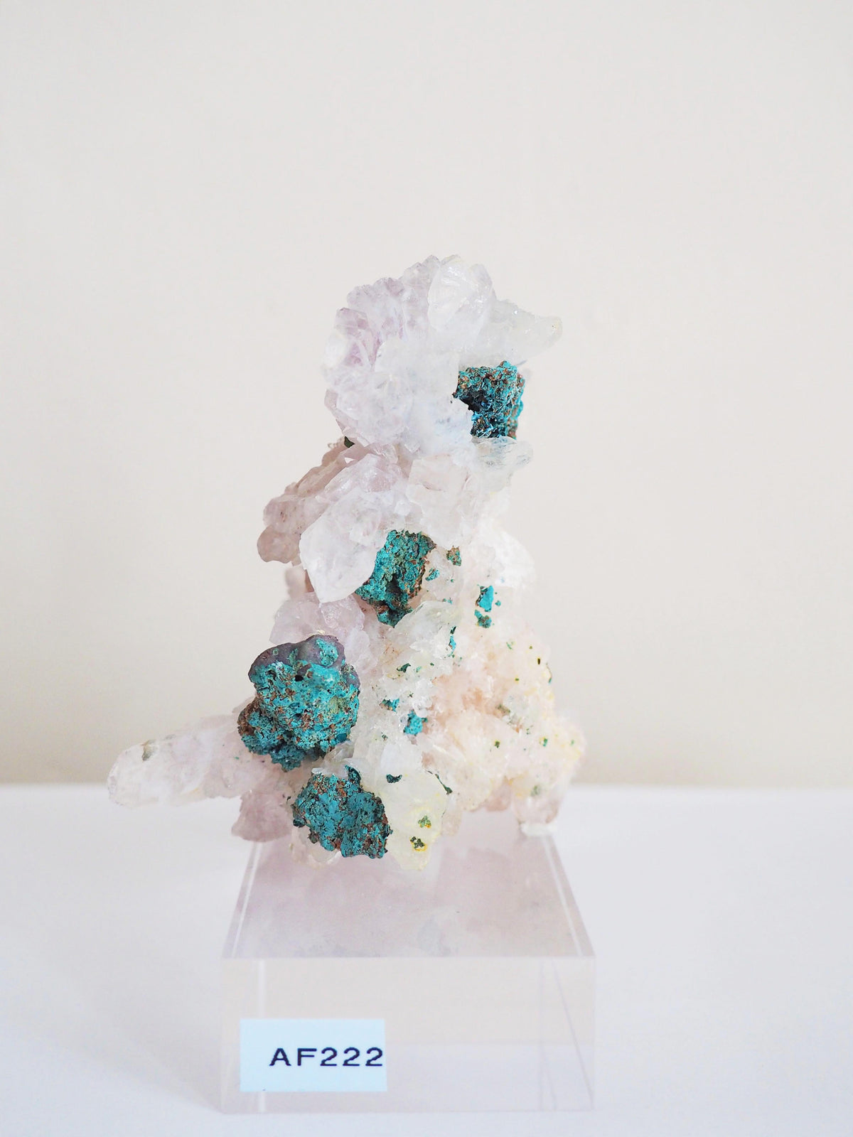 Amethyst Flower . Amethyst Blume Specimen - Rio Grande do Sul . Brasilien HIGH QUALITY