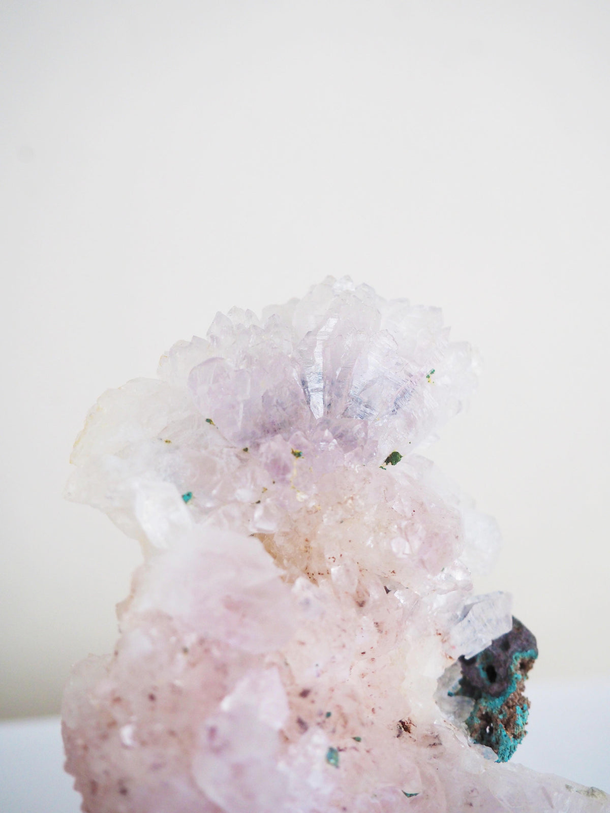 Amethyst Flower . Amethyst Blume Specimen - Rio Grande do Sul . Brasilien HIGH QUALITY