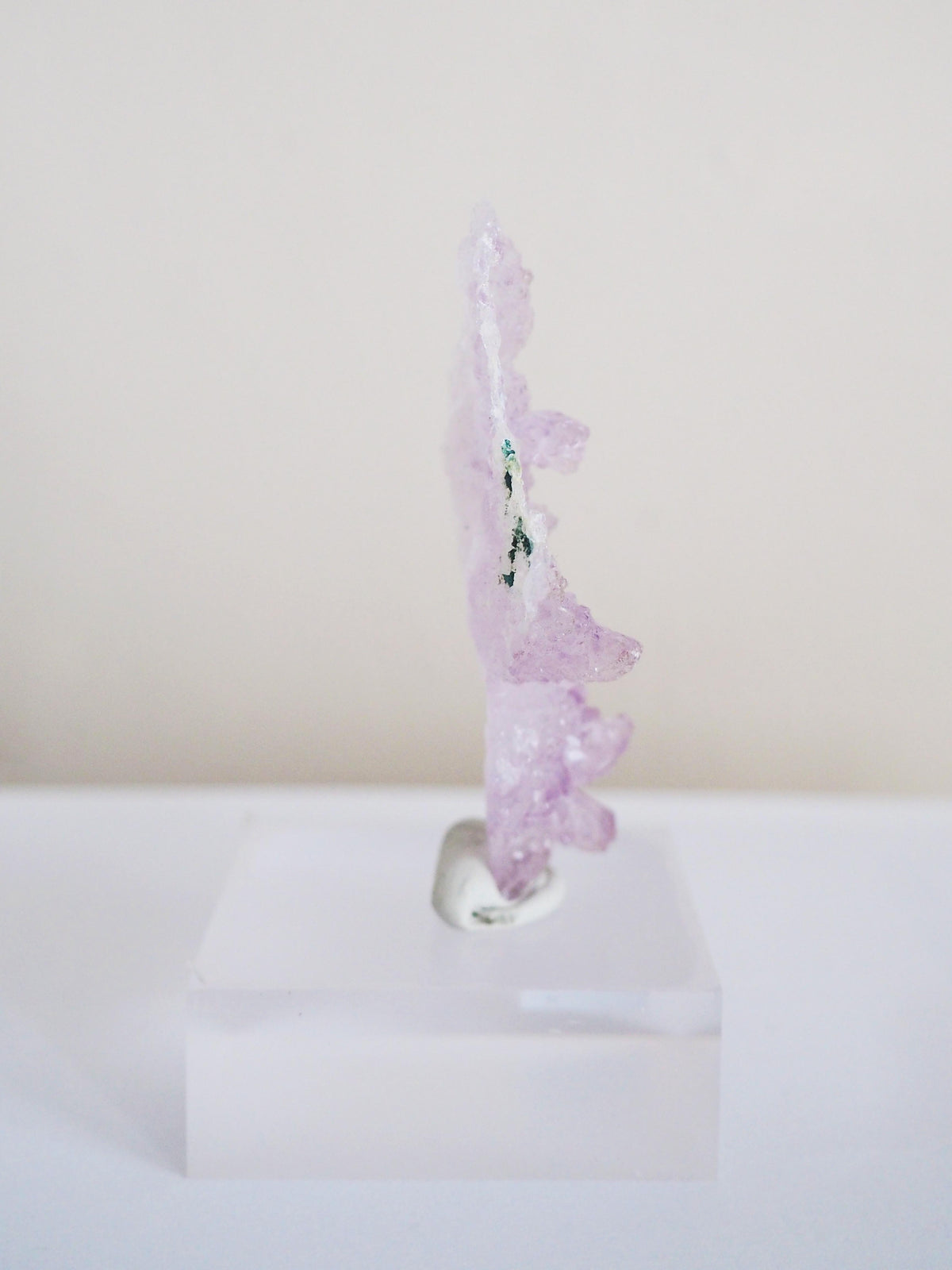 Amethyst Flower . Amethyst Blume Specimen - Rio Grande do Sul . Brasilien HIGH QUALITY