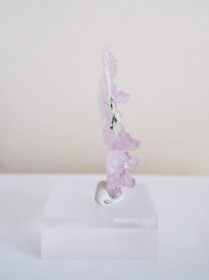 Amethyst Flower . Amethyst Blume Specimen - Rio Grande do Sul . Brasilien HIGH QUALITY