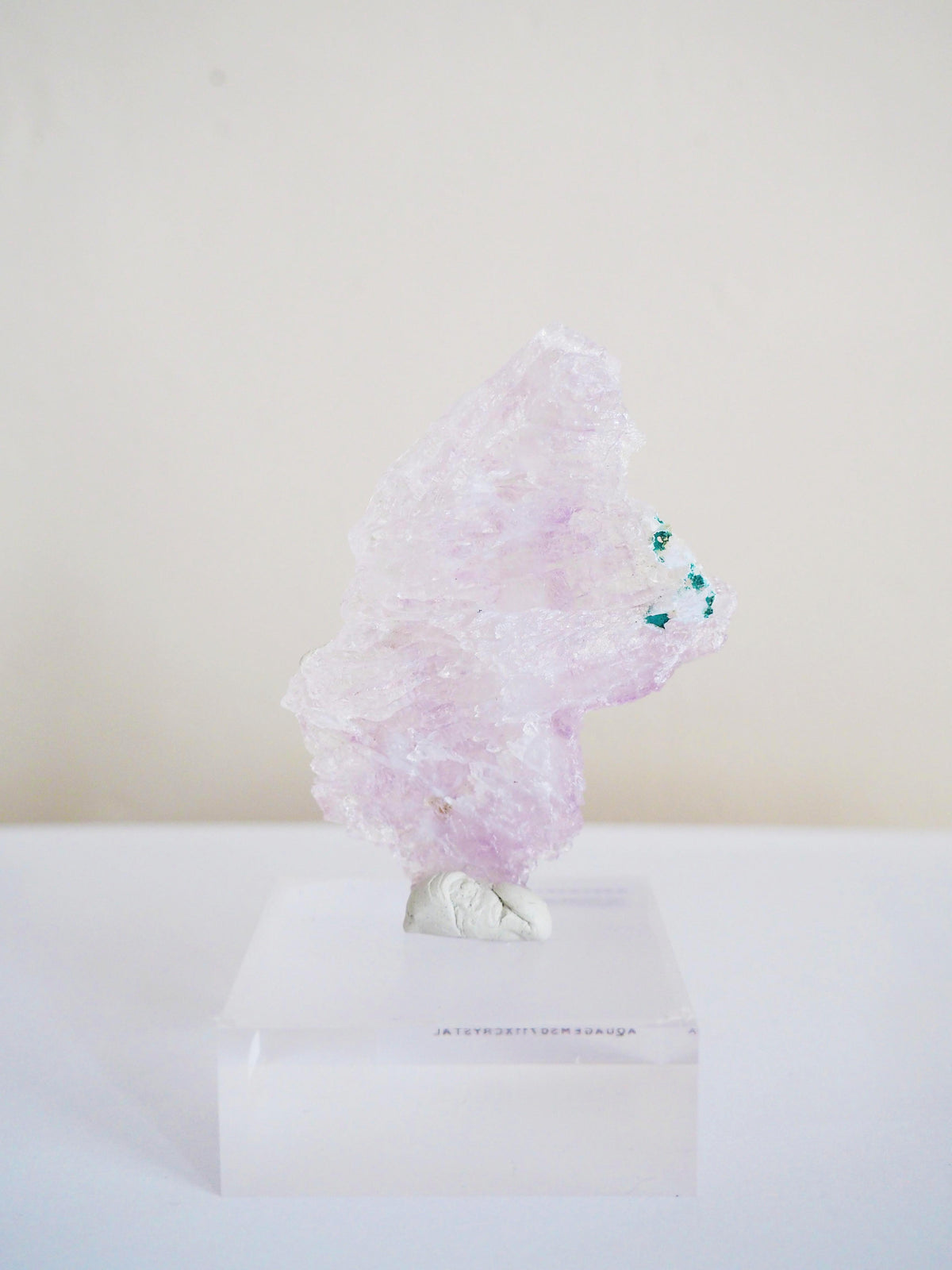 Amethyst Flower . Amethyst Blume Specimen - Rio Grande do Sul . Brasilien HIGH QUALITY