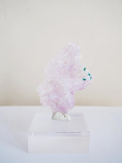 Amethyst Flower . Amethyst Blume Specimen - Rio Grande do Sul . Brasilien HIGH QUALITY
