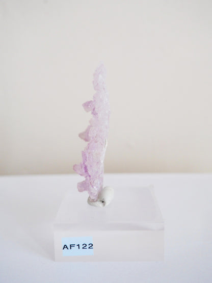 Amethyst Flower . Amethyst Blume Specimen - Rio Grande do Sul . Brasilien HIGH QUALITY