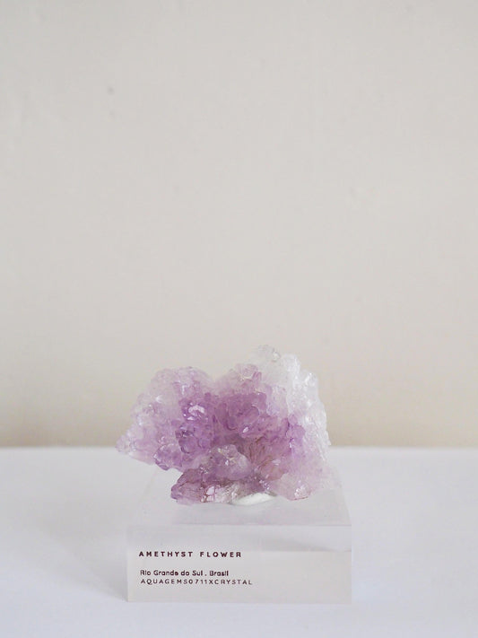 Amethyst Flower . Amethyst Blume Specimen - Rio Grande do Sul . Brasilien HIGH QUALITY