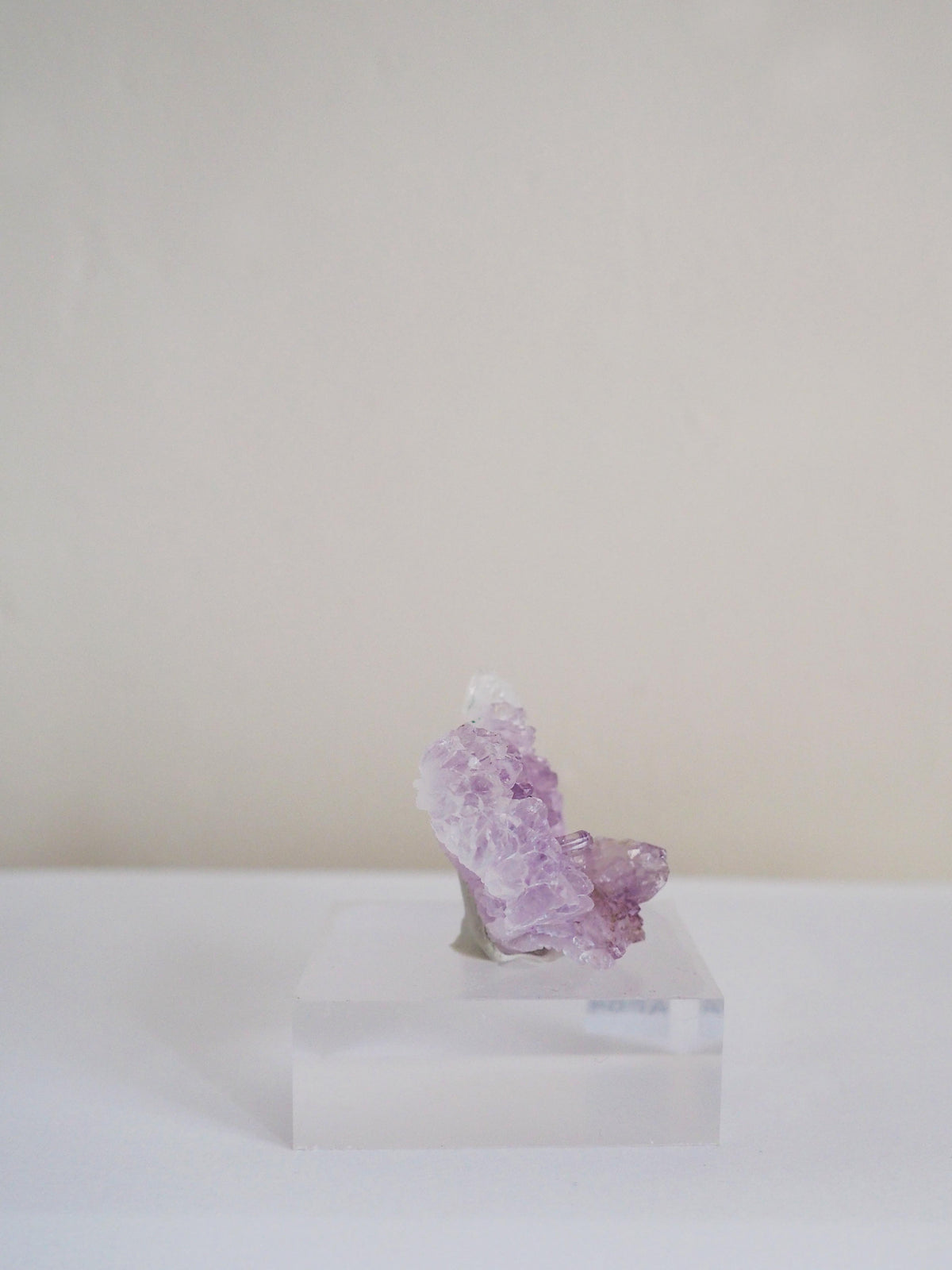 Amethyst Flower . Amethyst Blume Specimen - Rio Grande do Sul . Brasilien HIGH QUALITY