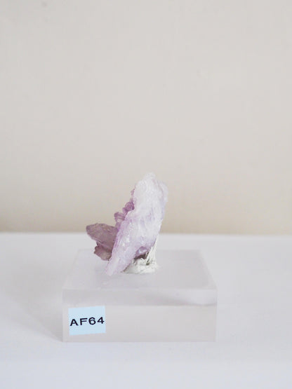 Amethyst Flower . Amethyst Blume Specimen - Rio Grande do Sul . Brasilien HIGH QUALITY