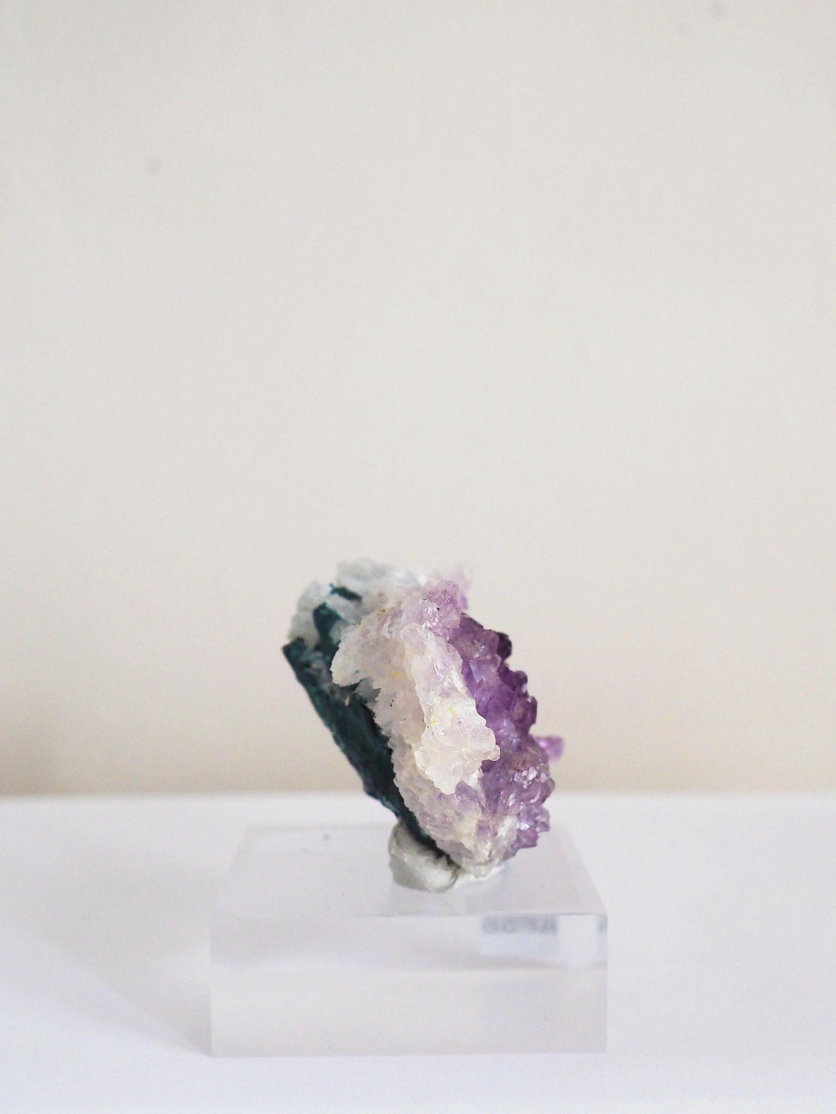 Amethyst Flower . Amethyst Blume Specimen - Rio Grande do Sul . Brasilien HIGH QUALITY
