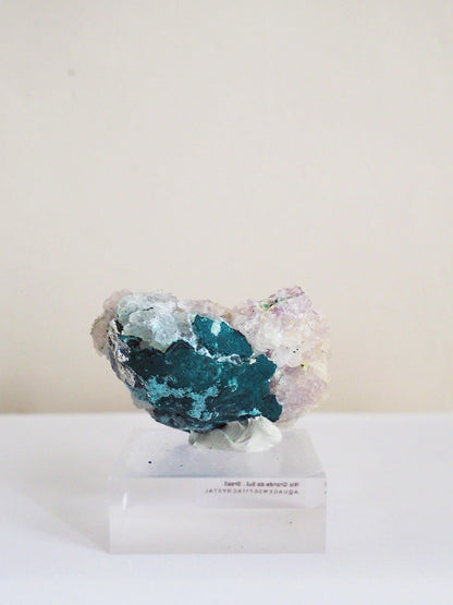 Amethyst Flower . Amethyst Blume Specimen - Rio Grande do Sul . Brasilien HIGH QUALITY