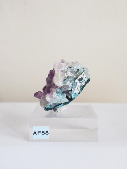 Amethyst Flower . Amethyst Blume Specimen - Rio Grande do Sul . Brasilien HIGH QUALITY