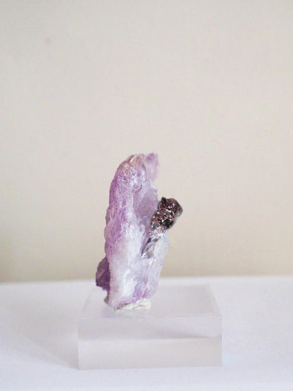 Amethyst Flower . Amethyst Blume Specimen - Rio Grande do Sul . Brasilien HIGH QUALITY