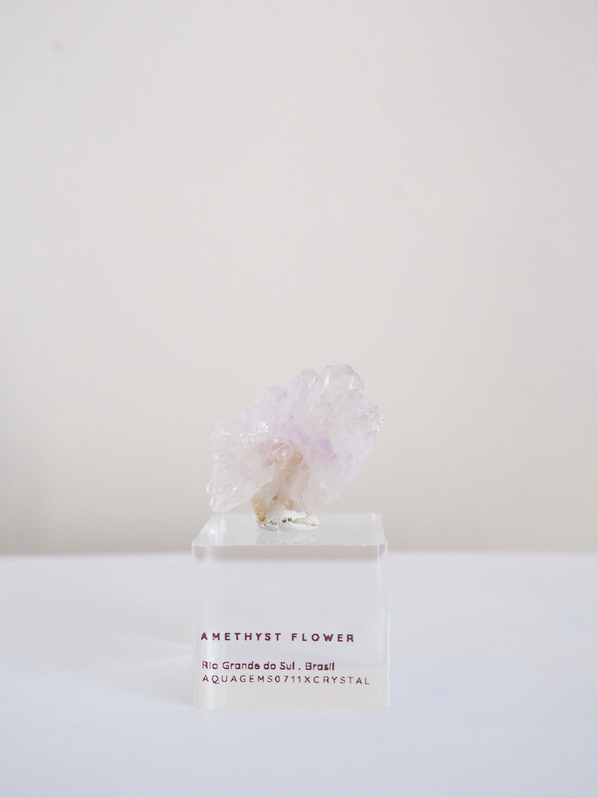 Amethyst Flower . Amethyst Blume Specimen - Rio Grande do Sul . Brasilien HIGH QUALITY