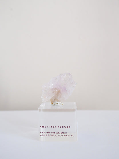 Amethyst Flower . Amethyst Blume Specimen - Rio Grande do Sul . Brasilien HIGH QUALITY