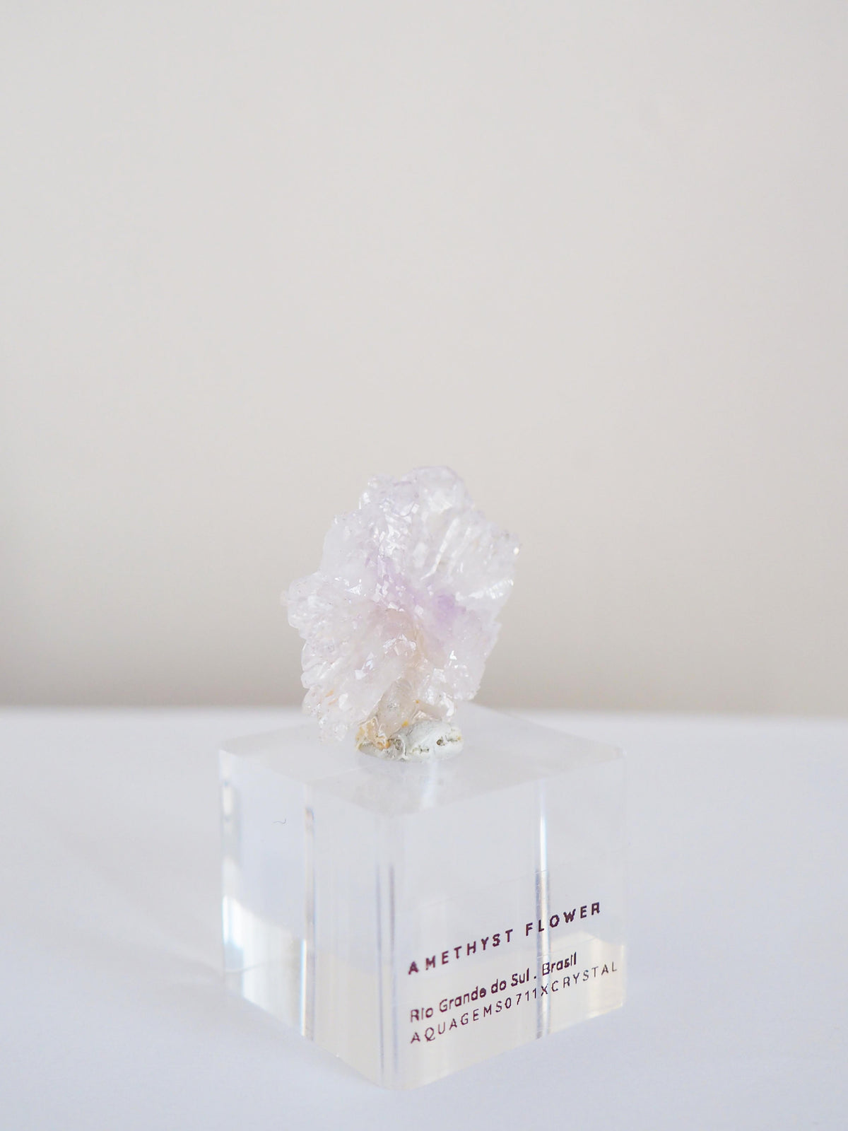 Amethyst Flower . Amethyst Blume Specimen - Rio Grande do Sul . Brasilien HIGH QUALITY