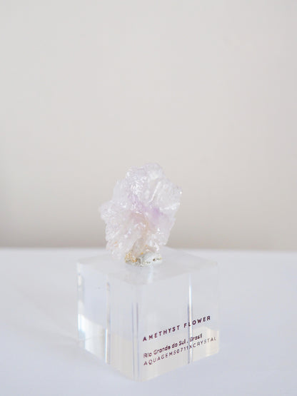 Amethyst Flower . Amethyst Blume Specimen - Rio Grande do Sul . Brasilien HIGH QUALITY