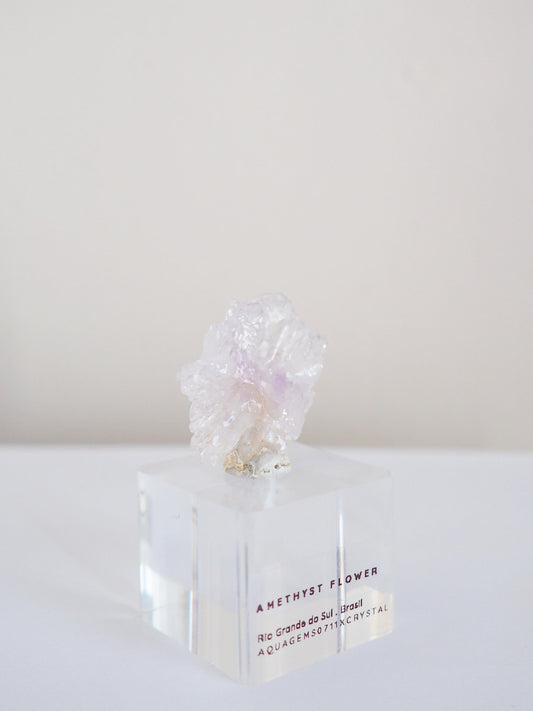 Amethyst Flower . Amethyst Blume Specimen - Rio Grande do Sul . Brasilien HIGH QUALITY