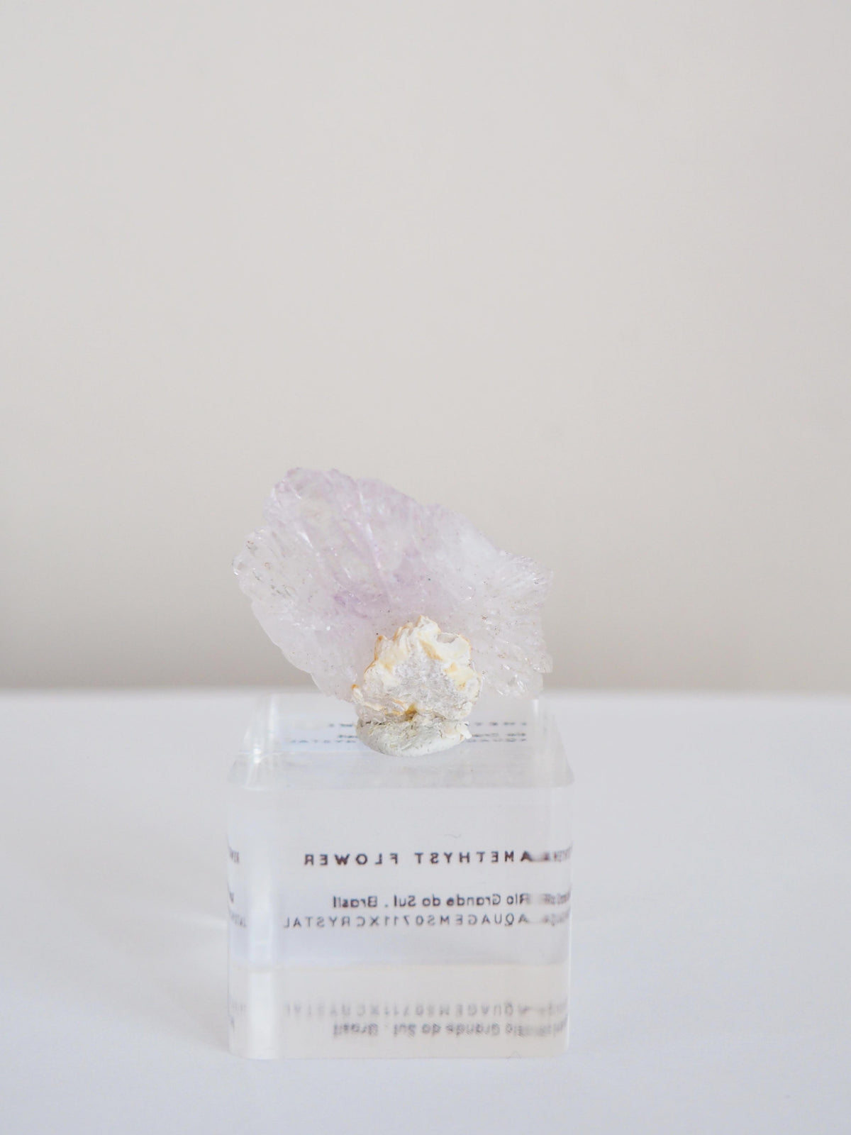 Amethyst Flower . Amethyst Blume Specimen - Rio Grande do Sul . Brasilien HIGH QUALITY
