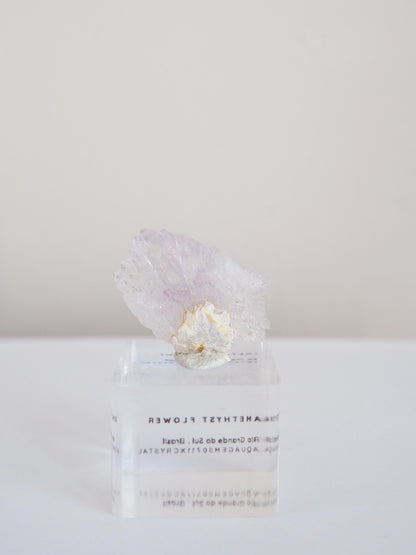 Amethyst Flower . Amethyst Blume Specimen - Rio Grande do Sul . Brasilien HIGH QUALITY