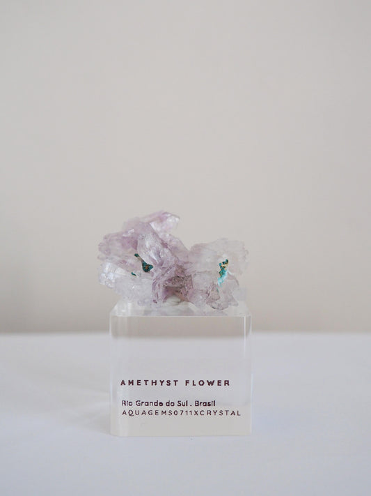 Amethyst Flower . Amethyst Blume Specimen - Rio Grande do Sul . Brasilien HIGH QUALITY
