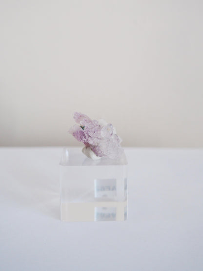 Amethyst Flower . Amethyst Blume Specimen - Rio Grande do Sul . Brasilien HIGH QUALITY
