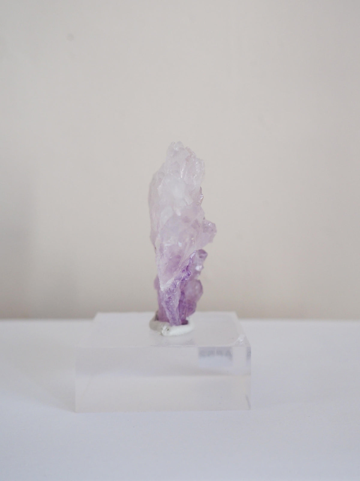 Amethyst Flower . Amethyst Blume Specimen - Rio Grande do Sul . Brasilien HIGH QUALITY