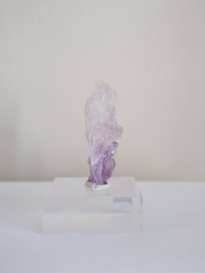 Amethyst Flower . Amethyst Blume Specimen - Rio Grande do Sul . Brasilien HIGH QUALITY