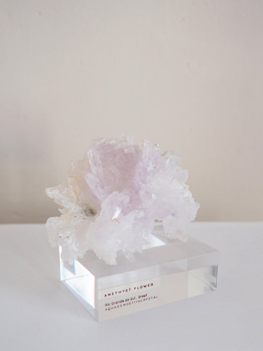 Amethyst Flower . Amethyst Blume Specimen - Rio Grande do Sul . Brasilien HIGH QUALITY