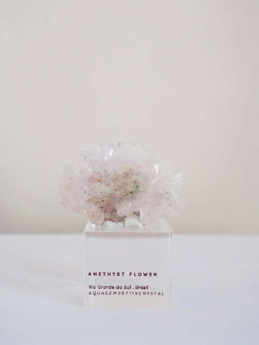 Amethyst Flower . Amethyst Blume Specimen - Rio Grande do Sul . Brasilien HIGH QUALITY