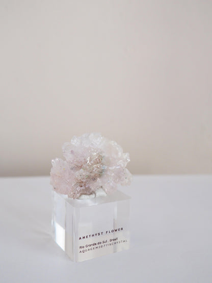 Amethyst Flower . Amethyst Blume Specimen - Rio Grande do Sul . Brasilien HIGH QUALITY