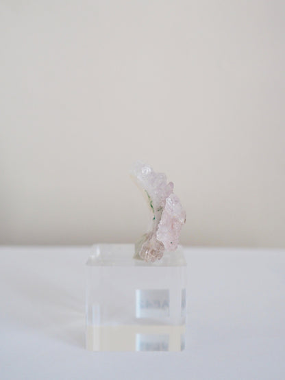 Amethyst Flower . Amethyst Blume Specimen - Rio Grande do Sul . Brasilien HIGH QUALITY