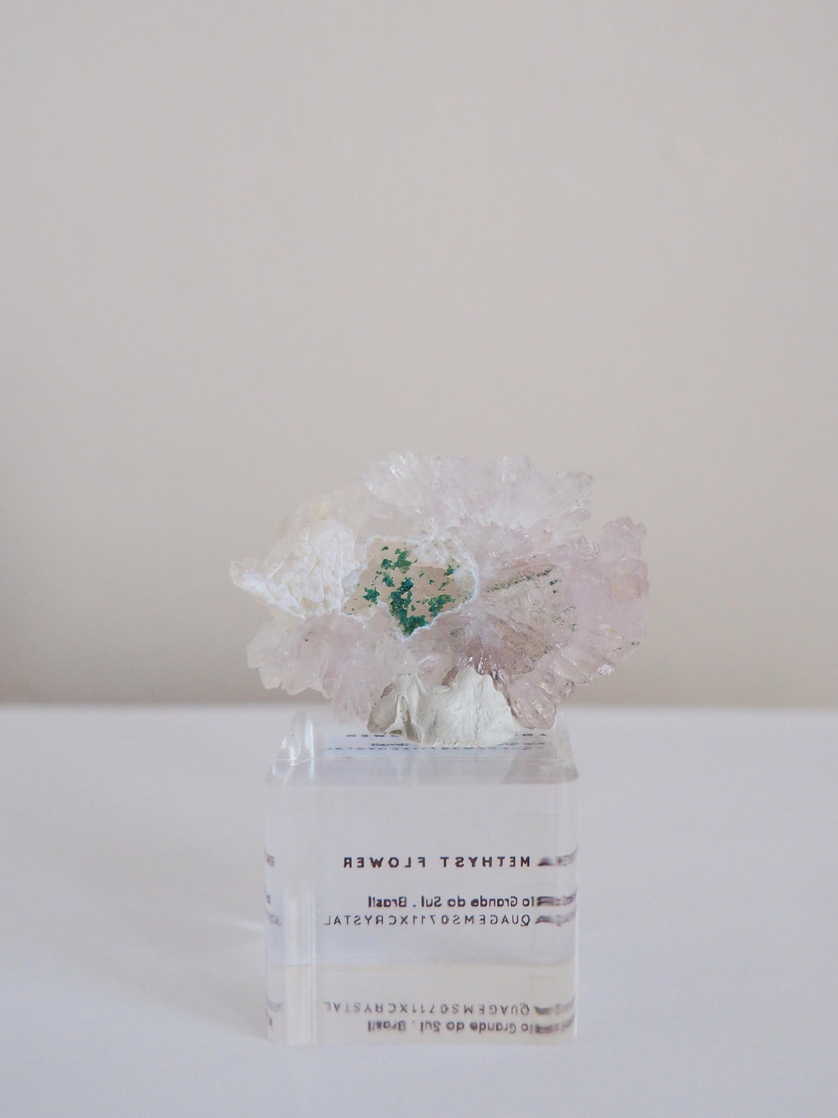 Amethyst Flower . Amethyst Blume Specimen - Rio Grande do Sul . Brasilien HIGH QUALITY