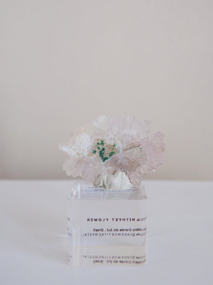 Amethyst Flower . Amethyst Blume Specimen - Rio Grande do Sul . Brasilien HIGH QUALITY