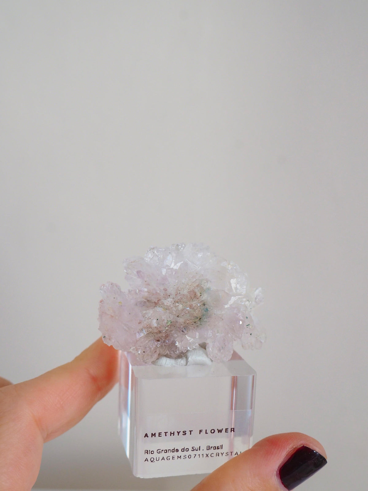 Amethyst Flower . Amethyst Blume Specimen - Rio Grande do Sul . Brasilien HIGH QUALITY