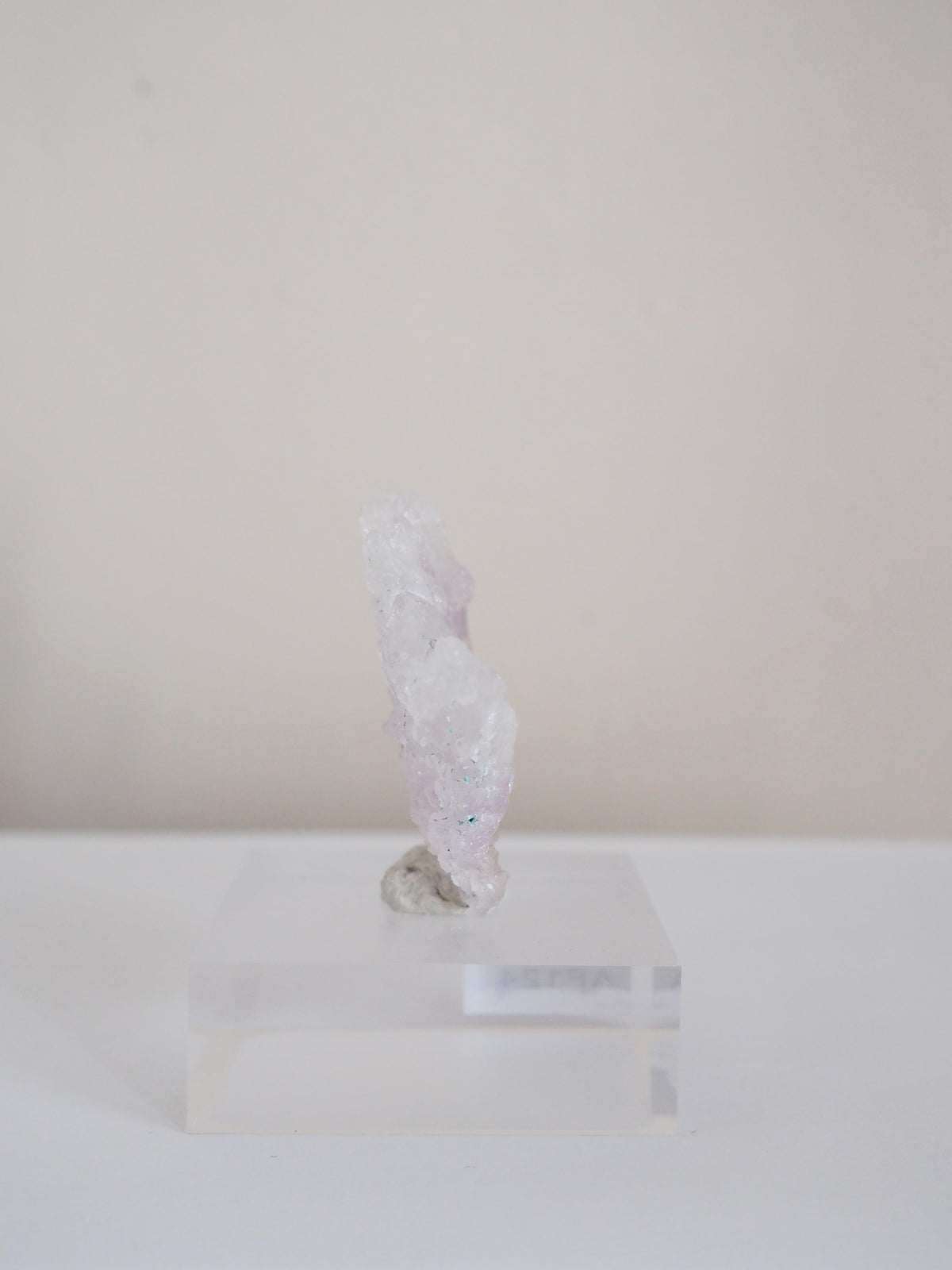 Amethyst Flower . Amethyst Blume Specimen - Rio Grande do Sul . Brasilien HIGH QUALITY